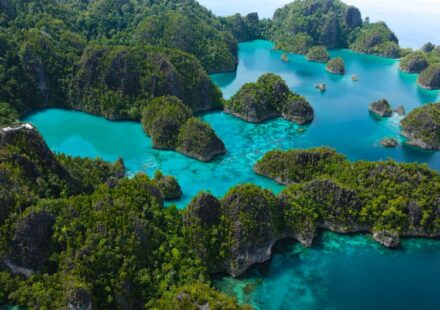 Limestone karst islands rising from turquoise water in Raja Ampat