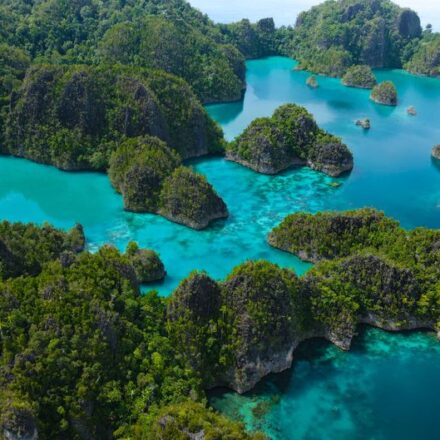 Limestone karst islands rising from turquoise water in Raja Ampat