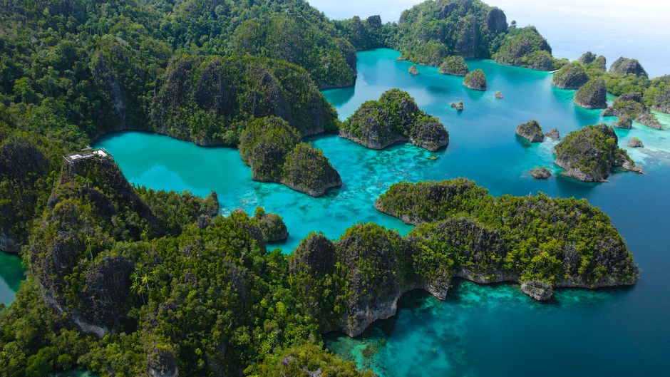Limestone karst islands rising from turquoise water in Raja Ampat