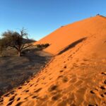 Towering red sand dunes at sunrise in the Namib Desert
