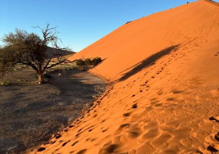 Towering red sand dunes at sunrise in the Namib Desert