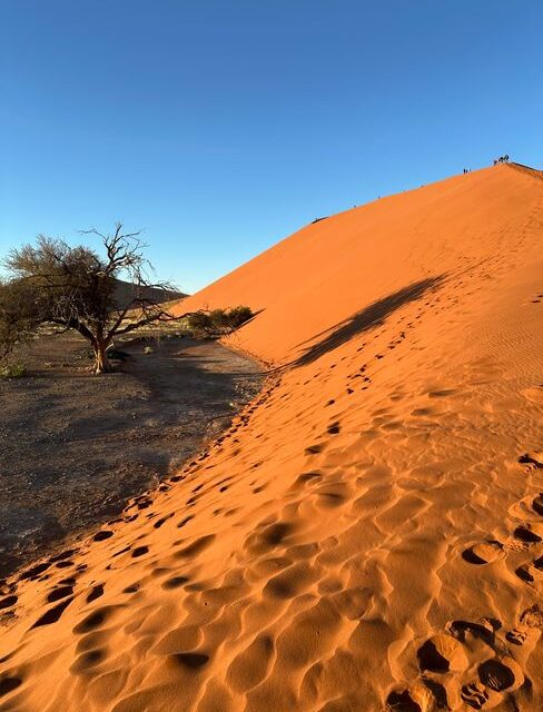 Towering red sand dunes at sunrise in the Namib Desert