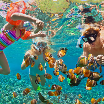 Snorkeling off Pingwe beach in Zanzibar